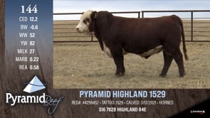 Lot #144 - PYRAMID HIGHLAND 1529