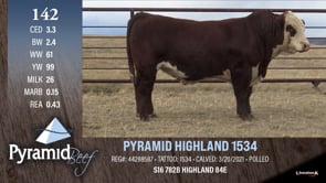 Lot #142 - PYRAMID HIGHLAND 1534