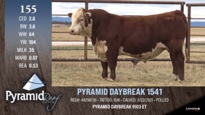 Lot #155 - PYRAMID DAYBREAK 1541