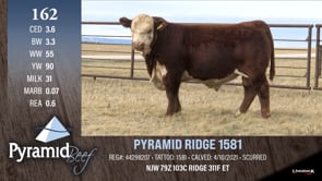 Lot #162 - PYRAMID RIDGE 1581