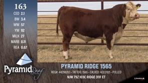 Lot #163 - PYRAMID RIDGE 1565