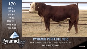 Lot #170 - PYRAMID PERFECTO 1515