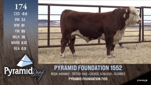 Lot #174 - PYRAMID FOUNDATION 1552