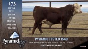 Lot #173 - PYRAMID TESTED 1548
