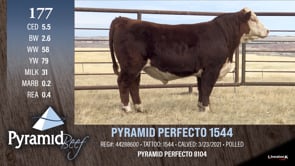 Lot #177 - PYRAMID PERFECTO 1544
