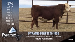 Lot #176 - PYRAMID PERFECTO 15555
