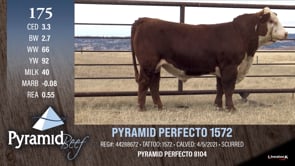Lot #175 - PYRAMID PERFECTO 1572