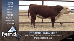 Lot #172 - PYRAMID TESTED 1547