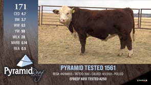 Lot #171 - PYRAMID TESTED 1561