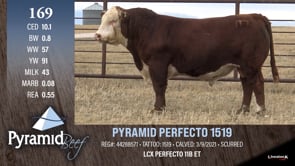 Lot #169 - PYRAMID PERFECTO 1519