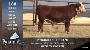 Lot #164 - PYRAMID RIDGE 1575