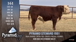 Lot #161 - PYRAMID STEWARD 1551