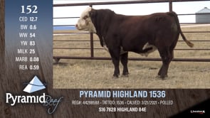 Lot #152 - PYRAMID HIGHLAND 1536
