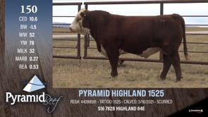 Lot #150 - PYRAMID HIGHLAND 1525