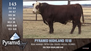 Lot #143 - PYRAMID HIGHLAND 1518
