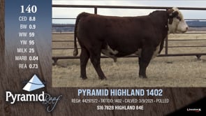 Lot #140 - PYRAMID HIGHLAND 1402