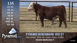 Lot #135 - PYRAMID BENCHMARK 1501 ET