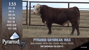 Lot #133 - PYRAMID DAYBREAK 1553