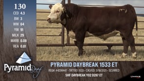 Lot #130 - PYRAMID DAYBREAK 1533 ET