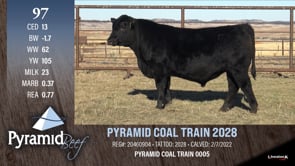Lot #97 - PYRAMID COAL TRAIN 2028