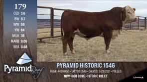 Lot #179 - PYRAMID HISTORIC 1546