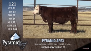 Lot #121 - PYRAMID APEX