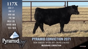 Lot #117X - PYRAMID CONVICTION 2071