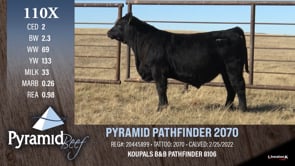 Lot #110X - PYRAMID PATHFINDER 2070