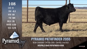 Lot #108 - PYRAMID PATHFINDER 2055