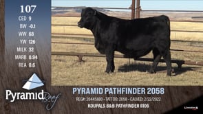 Lot #107 - PYRAMID PATHFINDER 2058