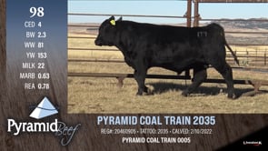 Lot #98 - PYRAMID COAL TRAIN 2035
