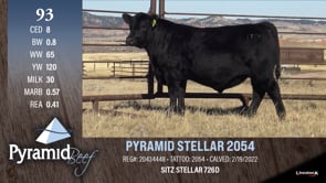 Lot #93 - PYRAMID STELLAR 2054