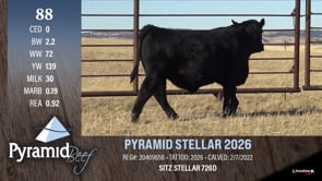 Lot #88 - PYRAMID STELLAR 2026