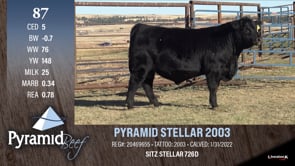 Lot #87 - PYRAMID STELLAR 2003