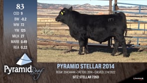 Lot #83 - PYRAMID STELLAR 2014