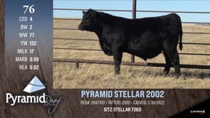 Lot #76 - PYRAMID STELLAR 2002