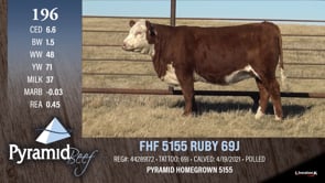 Lot #196 - FHF 5155 RUBY 69J