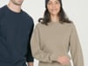 Native Spirit - Eco-friendly unisex French Terry raglan sleeved round neck sweatshirt (Almond Green)