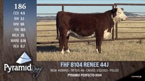 Lot #186 - FHF 8104 RENEE 44J