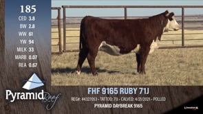 Lot #185 - BAR 9  9165 RUBY 71J