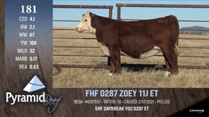 Lot #181 - FHF D287 ZOEY 11J ET