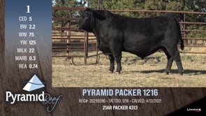 Lot #1 - PYRAMID PACKER 1216