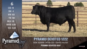 Lot #6 - PYRAMID DEVOTED 1222