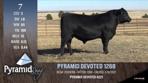 Lot #7 - PYRAMID DEVOTED 1268