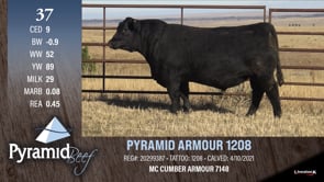 Lot #37 - PYRAMID ARMOUR 1208