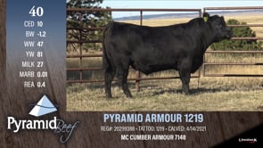 Lot #40 - PYRAMID ARMOUR 1219