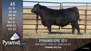 Lot #45 - PYRAMID EPIC 1211