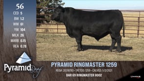 Lot #56 - PYRAMID RINGMASTER 1259