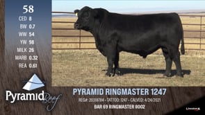 Lot #58 - PYRAMID RINGMASTER 1247