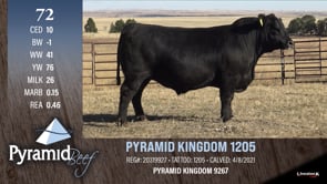 Lot #72 - PYRAMID KINGDOM 1205